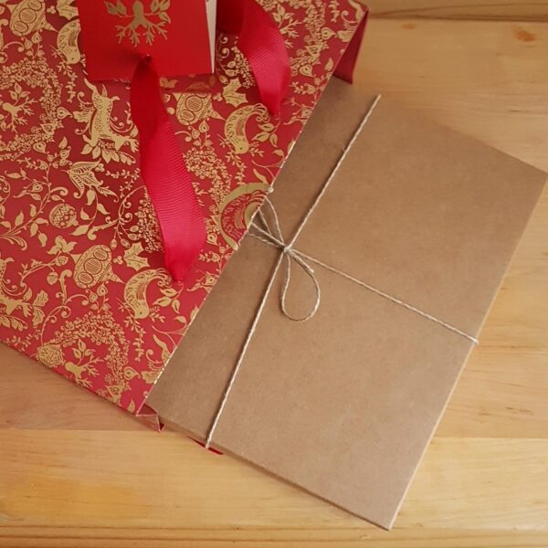Gift box in a red gift bag