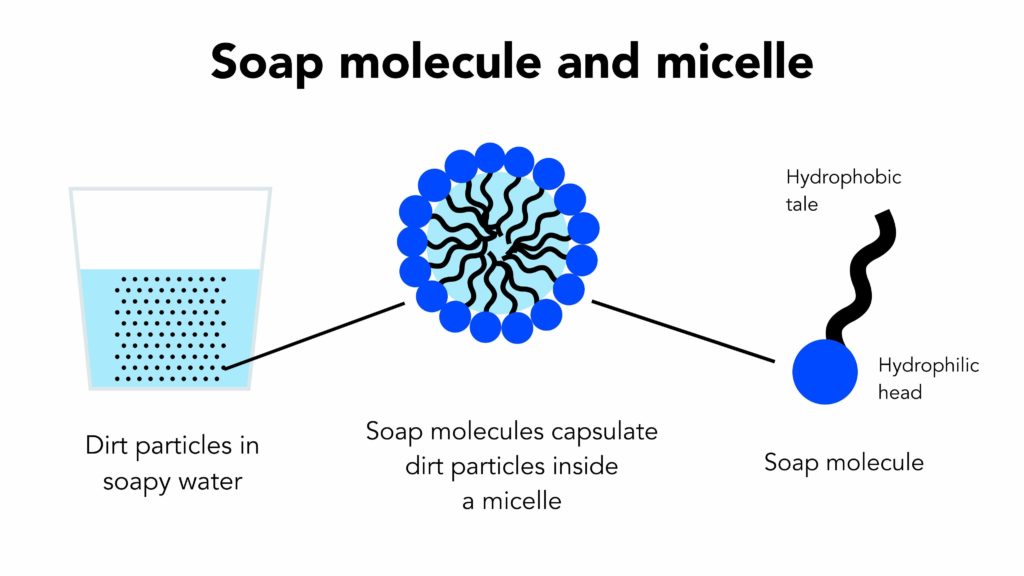 Soap Molecule Structure